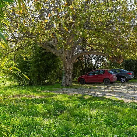 Rita Apartman Poreč