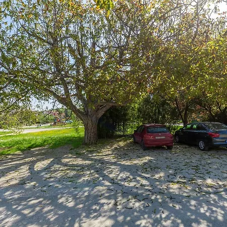 Rita Apartament